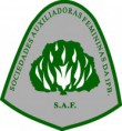 /album/galeria-de-fotos/saf-logo-jpg/